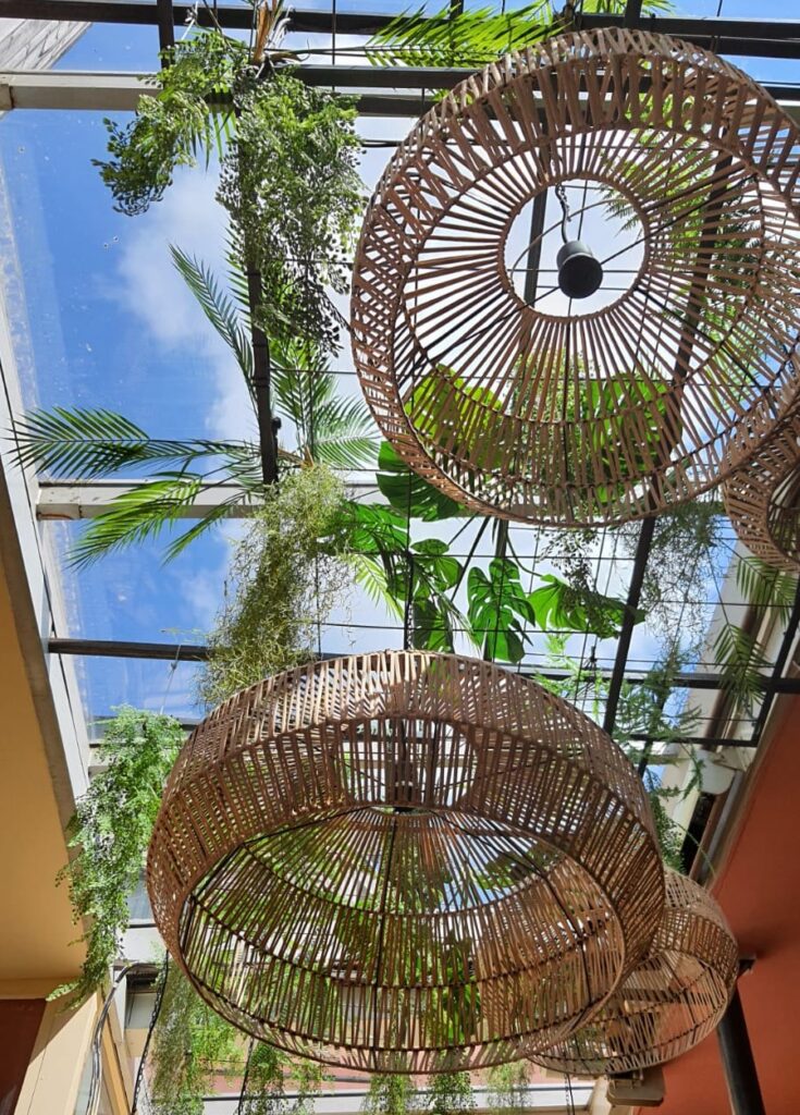 pergola végétale bar pergola végétale bar