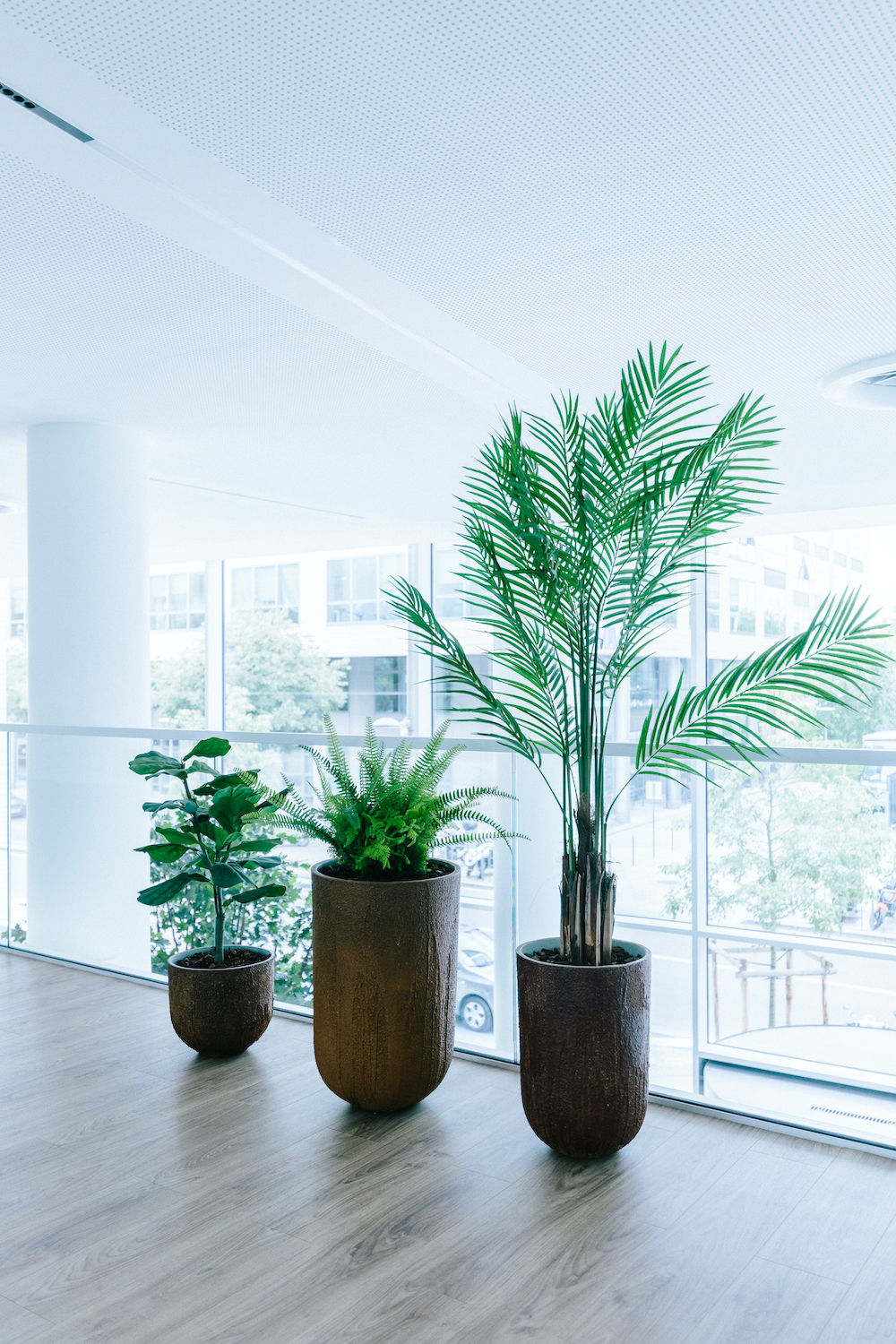 Plantes-artificielles-tropicales-dans-un-bureau-d-entreprise