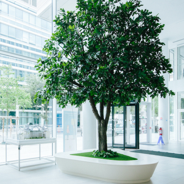 arbre-artificiel-grandeur-nature-hall-accueil Arbre artificiel dans grand hall d'accueil