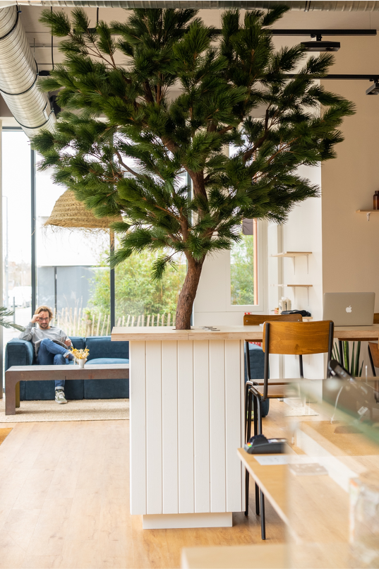 arbres-artificiels-amenagement-commerce Chêne au beau milieu d'une commerce