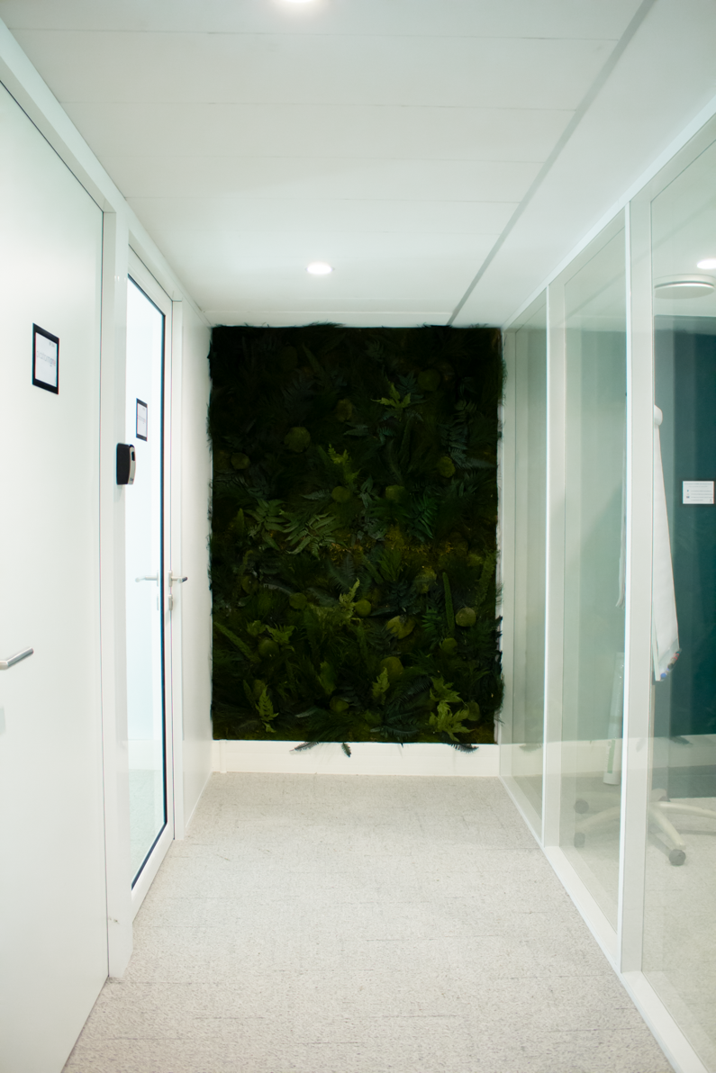 Mur-vegetal-stabilise-dans-un-couloir-de-bureau