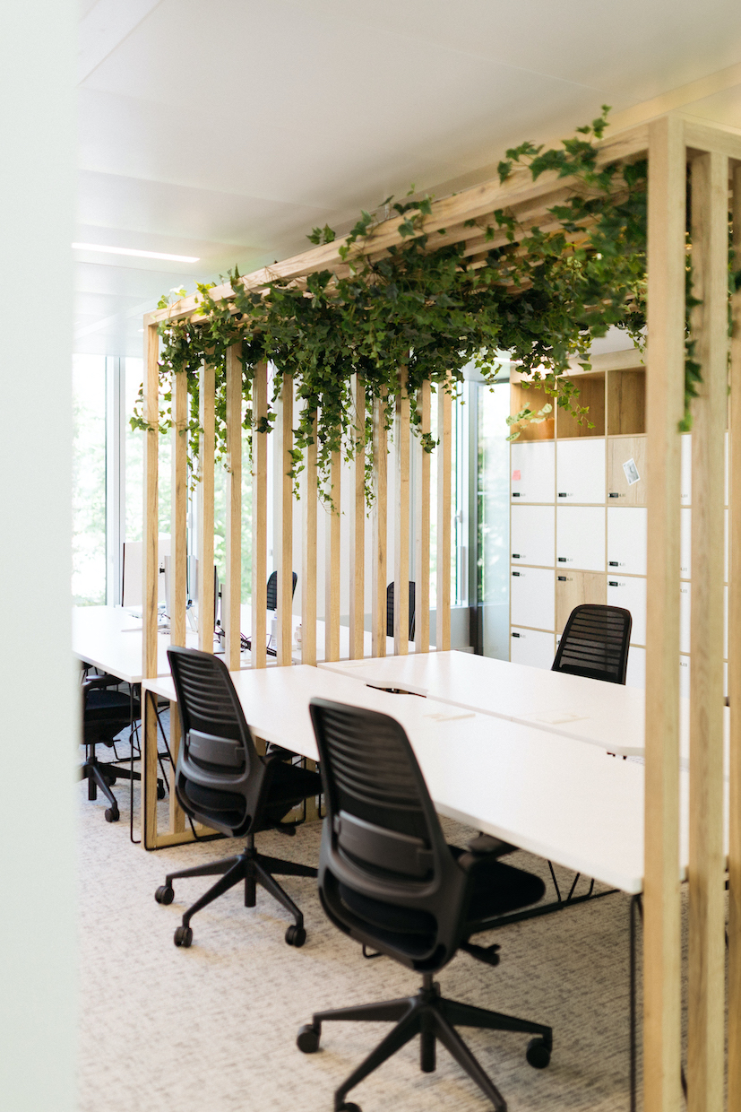Claustra-vegetalisee-dans-un-espace-de-travail
