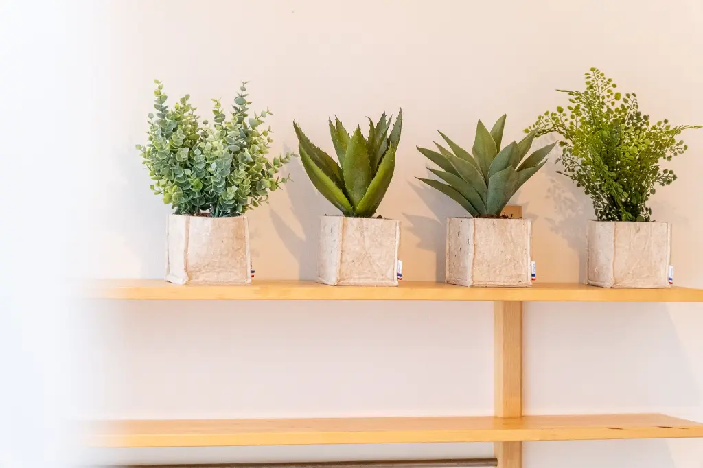 DSCF2522.webp