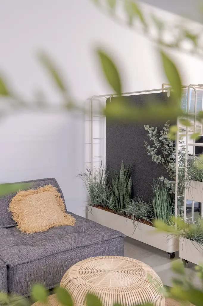 DSCF6775.webp