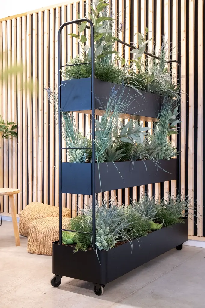 DSCF7072.webp