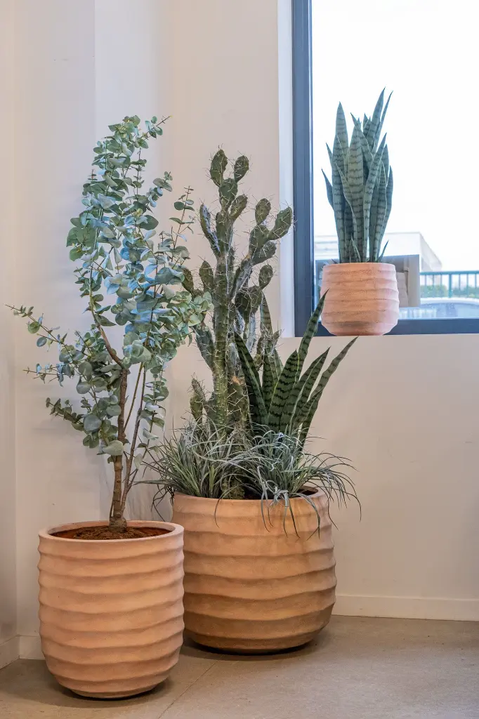 DSCF6945.webp