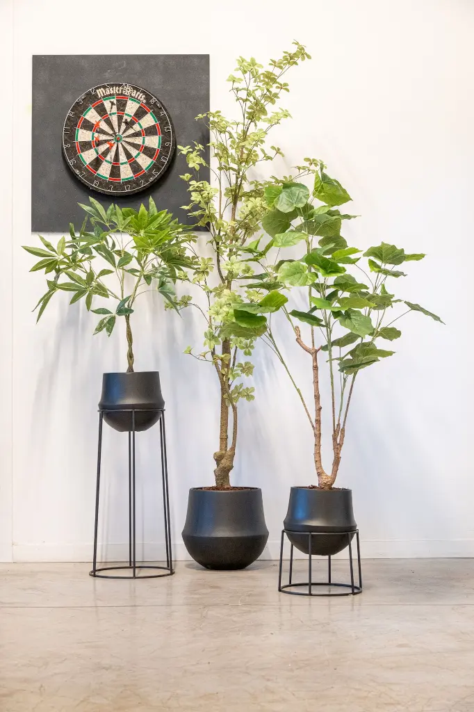 DSCF7144.webp