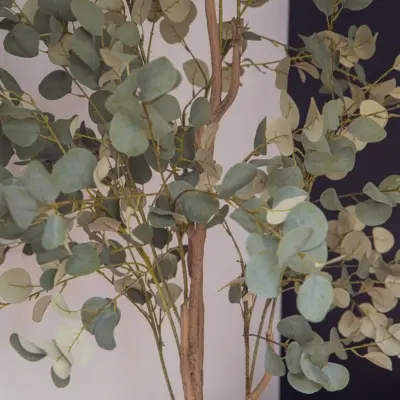 L'Eucalyptus - Cylindre Noir #Artificiel.webp