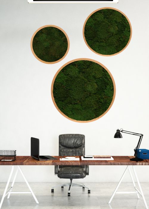 Les Tableaux Végétaux Circulaires #Stabilisé