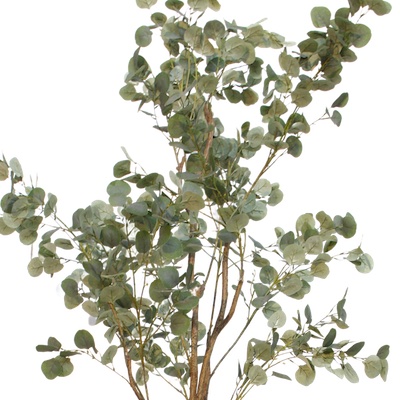L'Eucalyptus - Pot Sable #Artificiel