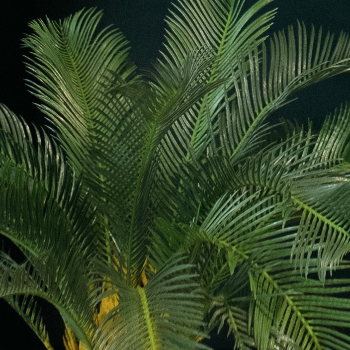 Le Petit Cycas - Cube Haut Blanc #Artificiel