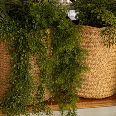 La Tombante Hoya - Pot Tressé #Artificiel