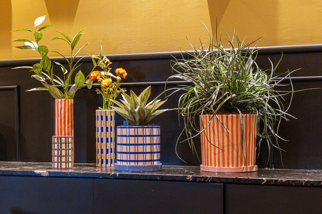 L’Agave - Pot Chromatique #Artificiel