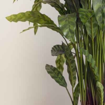 Le Calathea - Pot Rond Blanc #Artificiel