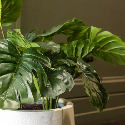 La Petite Monstera - Pot Ovale Noir #Artificiel