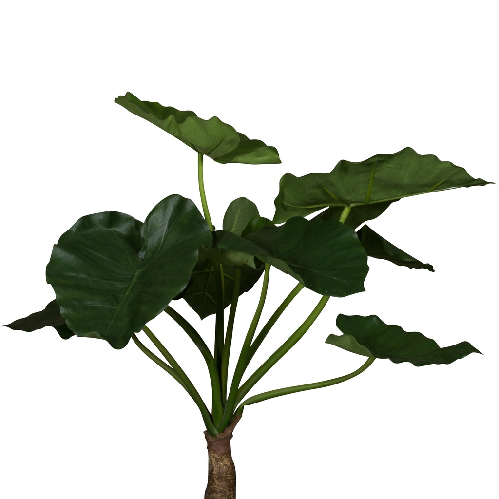 Le Petit Alocasia - Cylindre Blanc #Artificiel