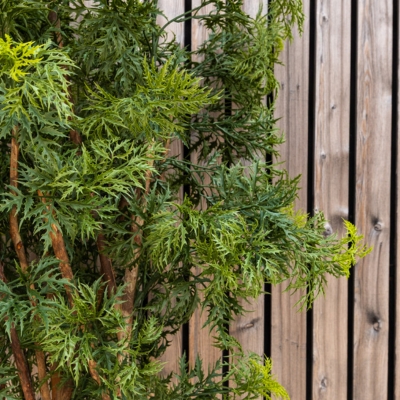 L'Aralia - Cube Blanc #Extérieur #Artificiel