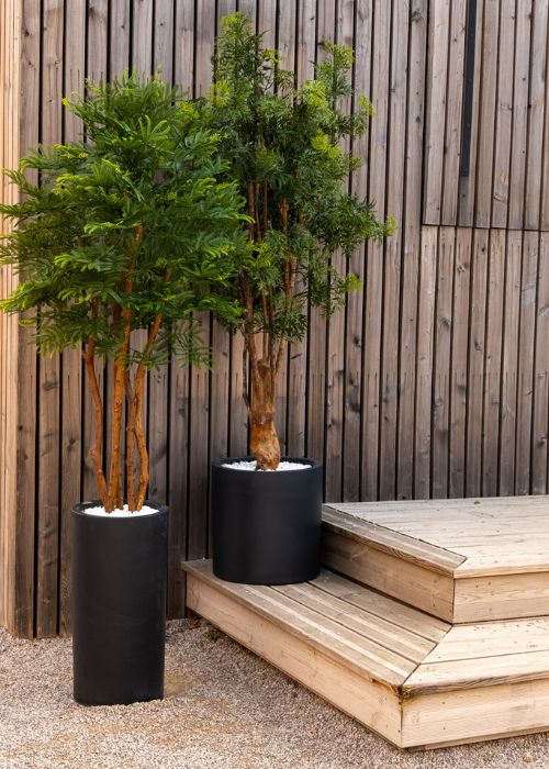 L'Aralia - Cube Blanc #Extérieur #Artificiel