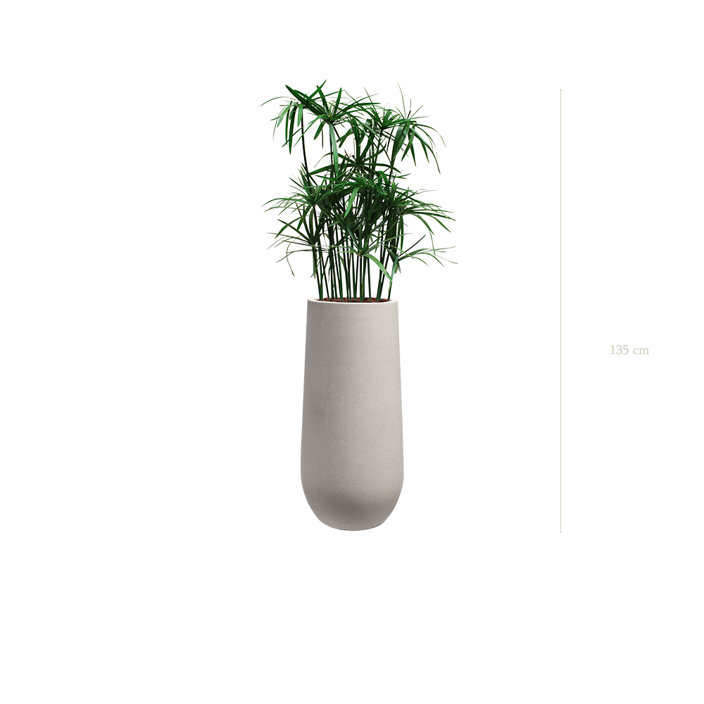Le Papyrus - Pot Sable - Stabilisé