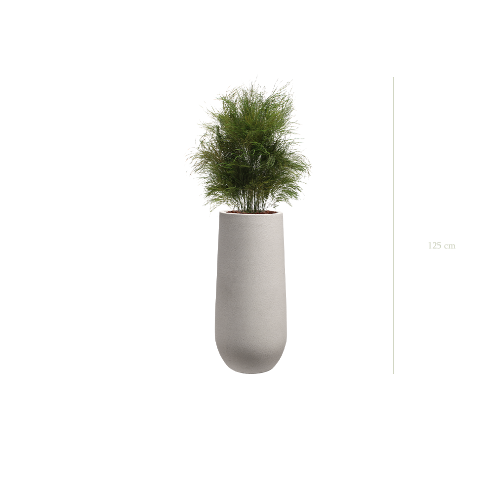L’Herbe Folle - Pot Sable - Stabilisé