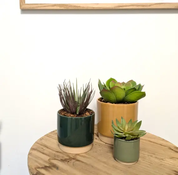 Le Trio Succulentes - Pots Colorés - Artificiel