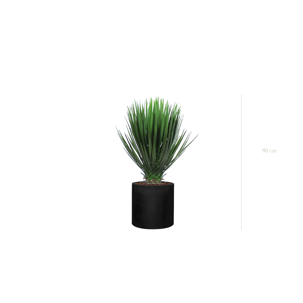 Le Yucca - Cylindre Noir - Artificiel