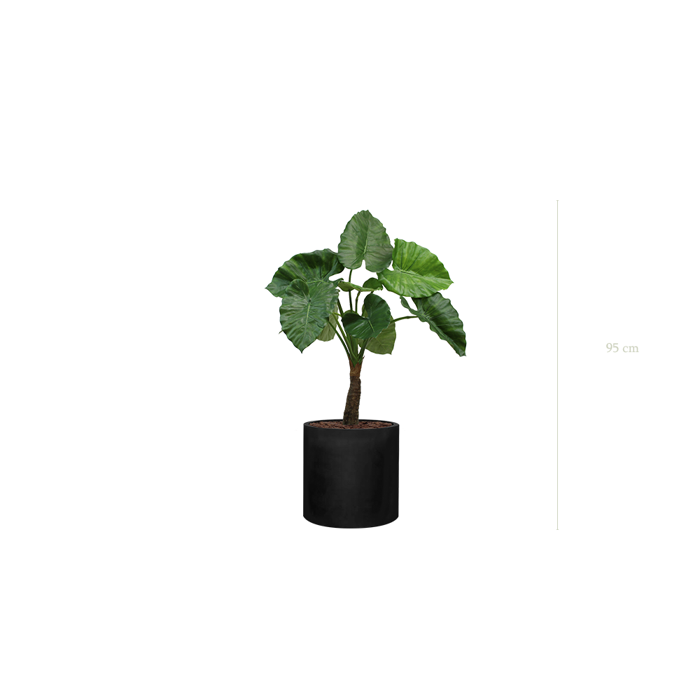 Le Petit Alocasia - Cylindre Noir - Artificiel