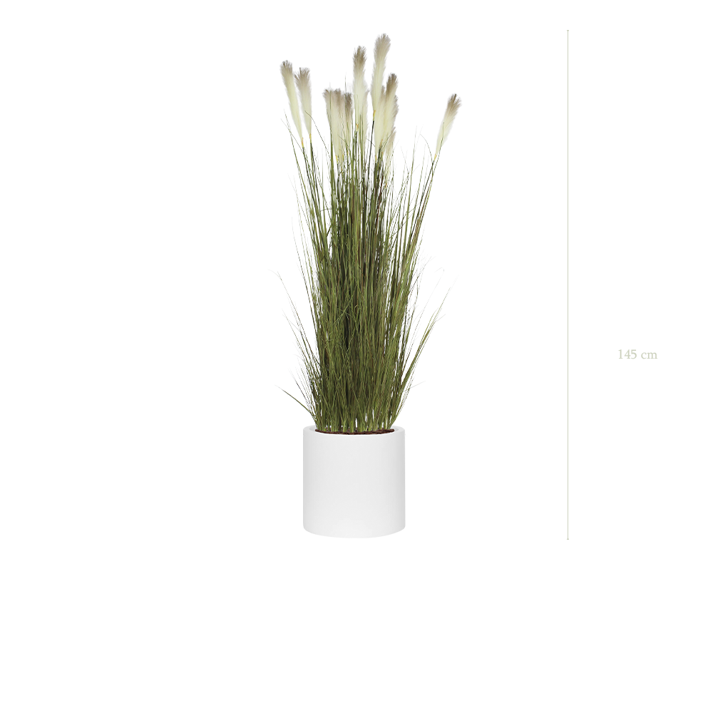 La Pampa - Cylindre Blanc - Artificiel