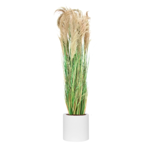 La Grande Pampa - Cylindre Blanc - Semi-Naturel