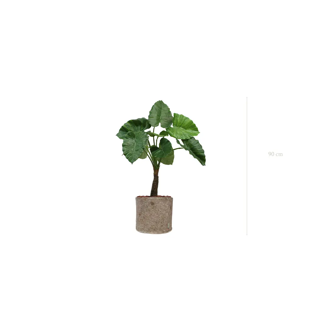 Die Kleine Alocasia - Beiger Stofftopf #Künstlich