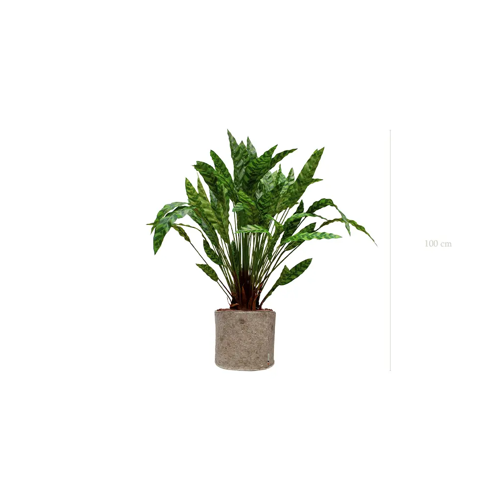 Le Calathea - Pot Tissu Beige - Artificiel