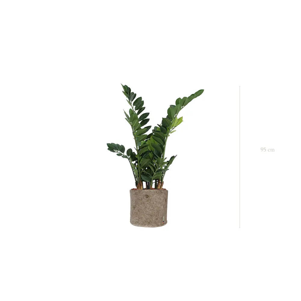 Le Zamia - Pot Tissu Beige - Artificiel