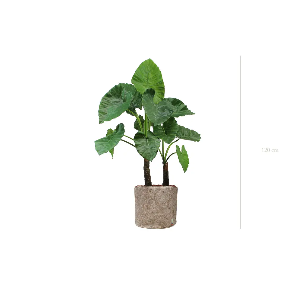Le Grand Alocasia - Pot Tissu Beige - Artificiel