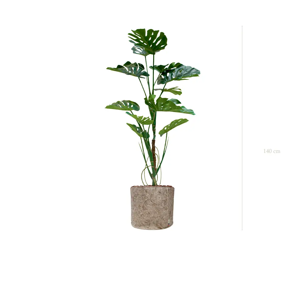 La Monstera - Pot Tissu Beige - Artificiel