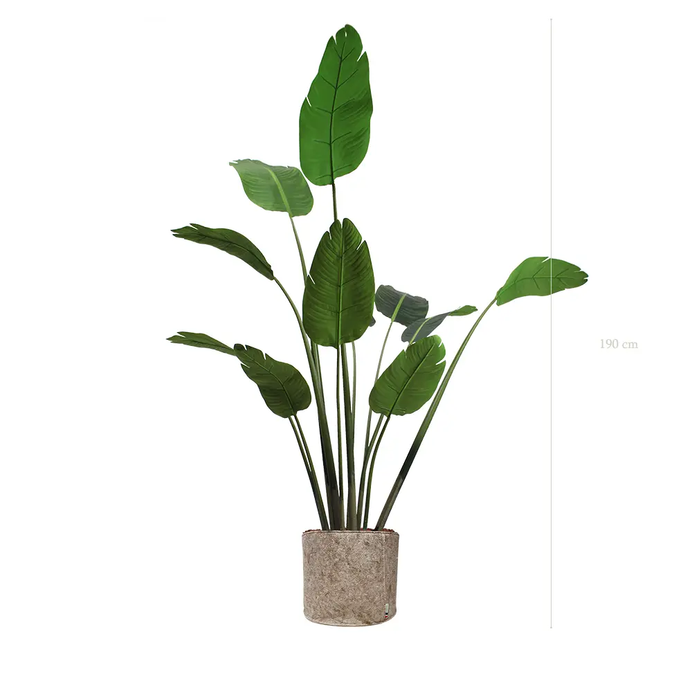 Le Bananier - Pot Tissu Beige - Artificiel
