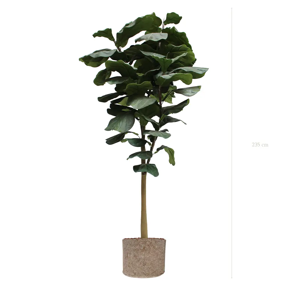 Le Grand Lyrata - Pot Tissu Beige - Artificiel