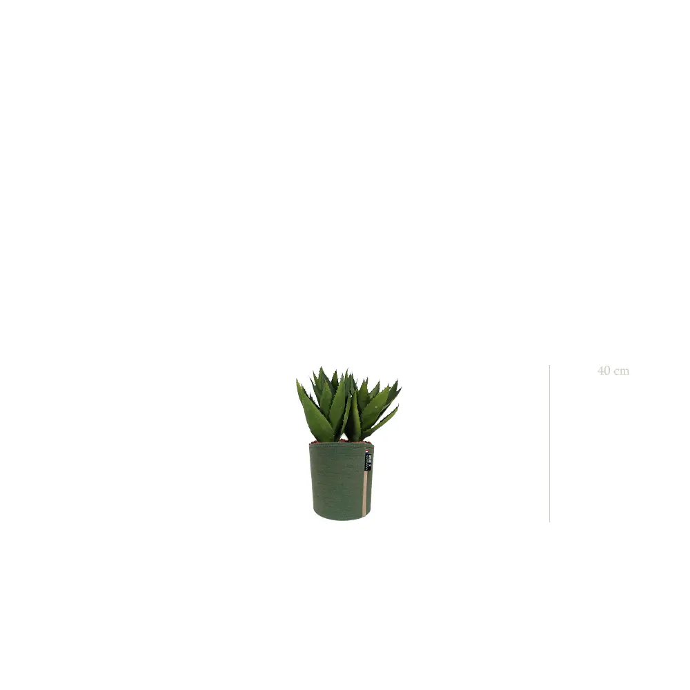 L’Aloé - Pot MyBac - Artificiel