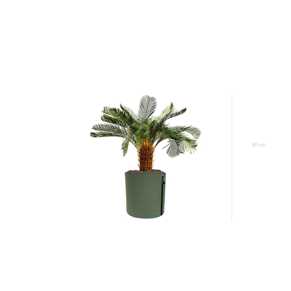 Le Petit Cycas - Pot MyBac - Artificiel