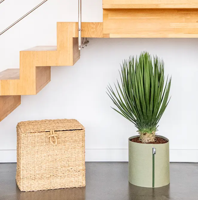Le Yucca - Pot MyBac - Artificiel