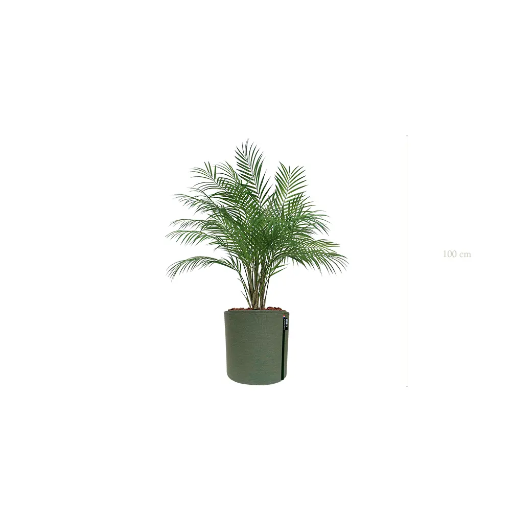 Le Palm - Pot MyBac - Artificiel