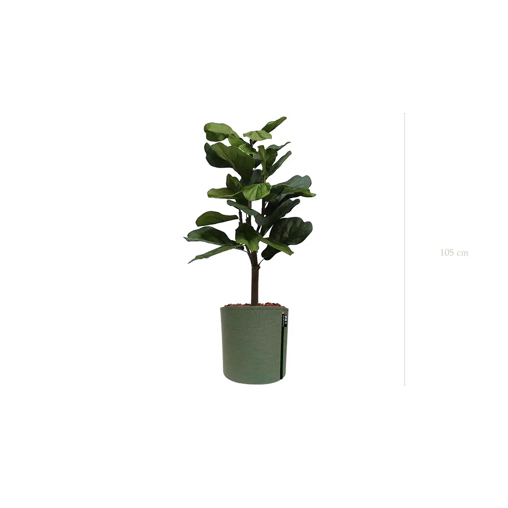 Le Lyrata - Pot MyBac - Artificiel