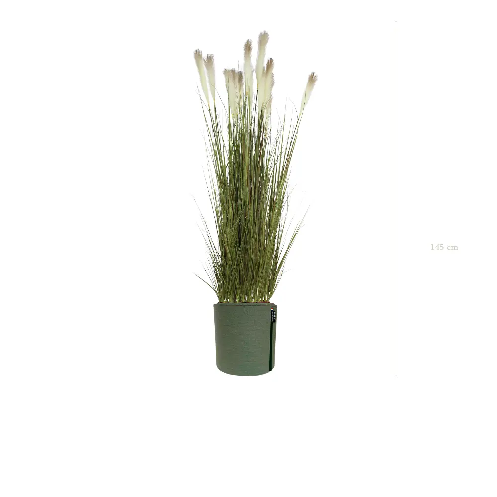 La Pampa - Pot MyBac - Artificiel