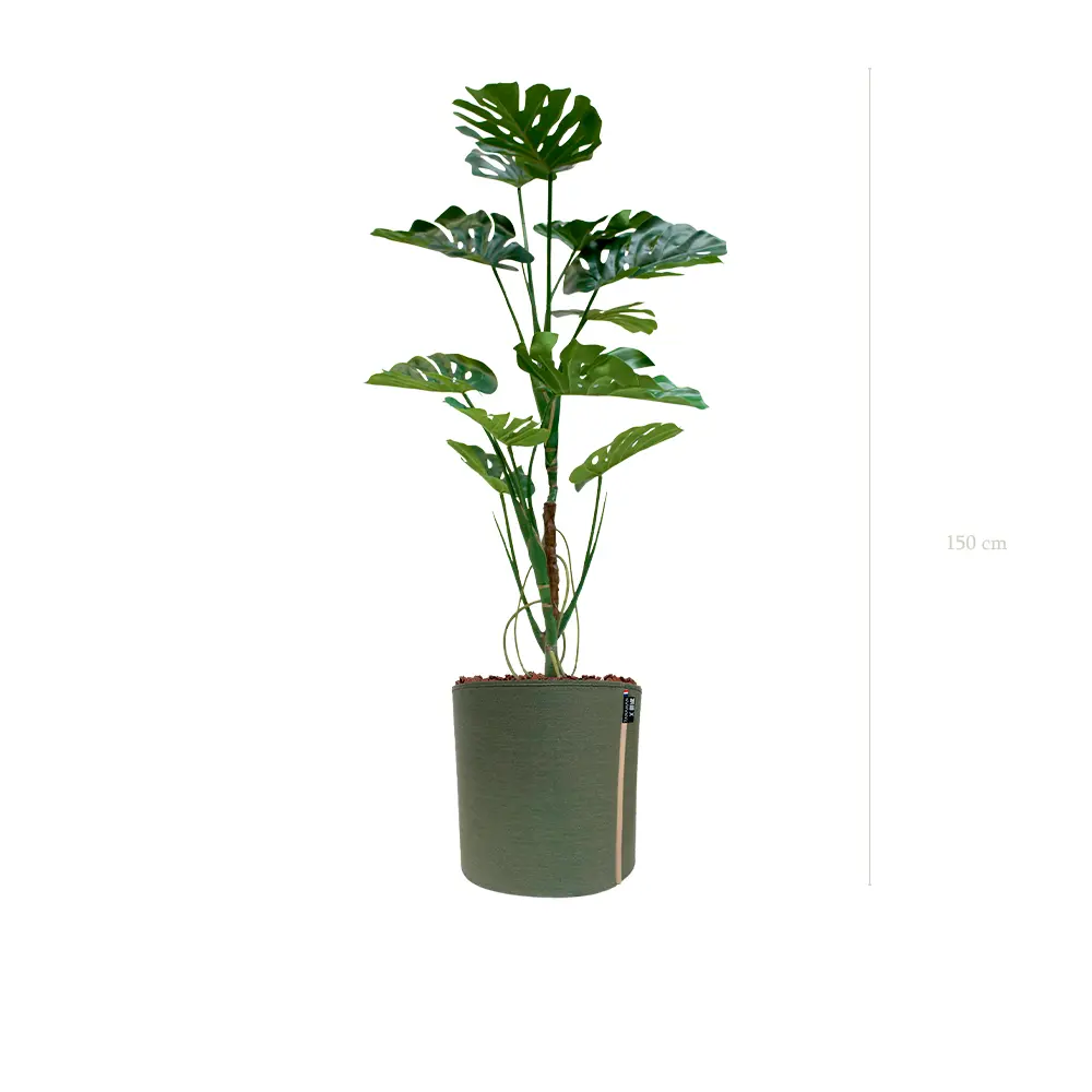 La Monstera - Pot MyBac - Artificiel