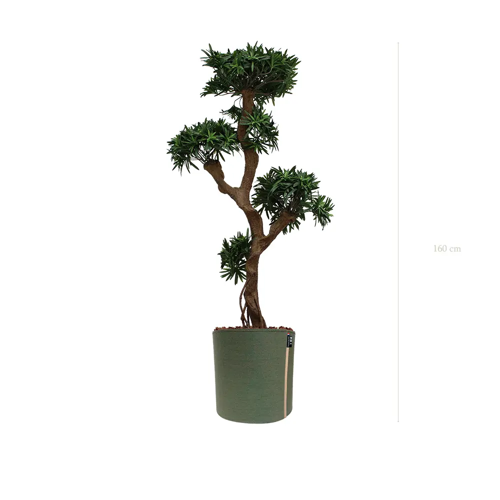 Le Podocarpus - Pot MyBac - Artificiel
