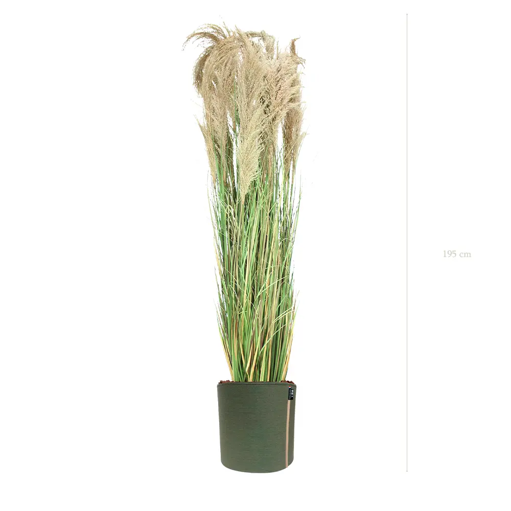 La Grande Pampa - Pot MyBac - Semi-naturel