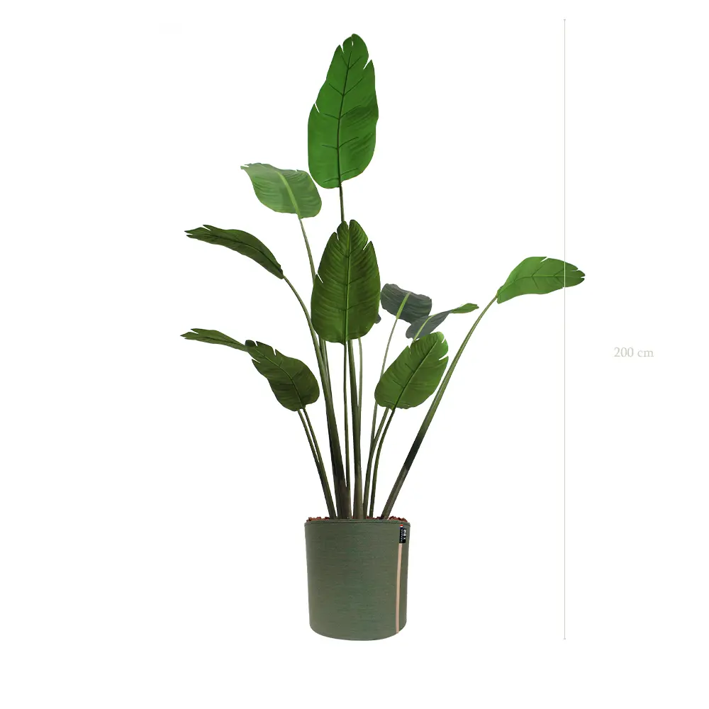 Le Bananier - Pot MyBac - Artificiel