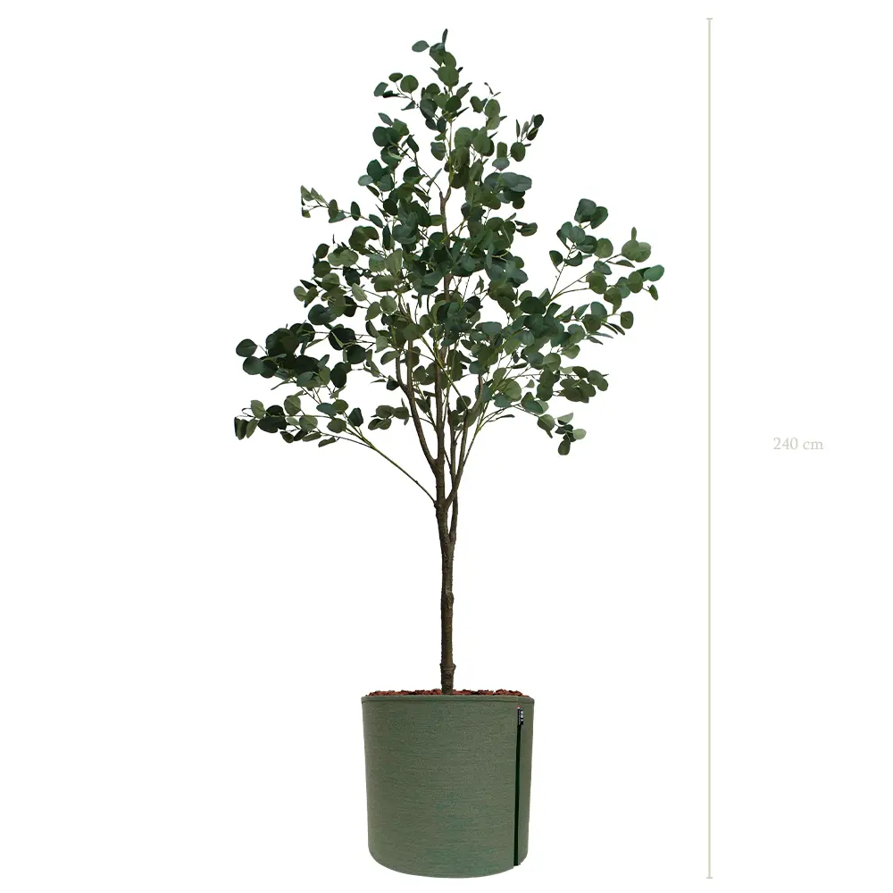 L’Arbre Eucalyptus - Pot MyBac - Artificiel
