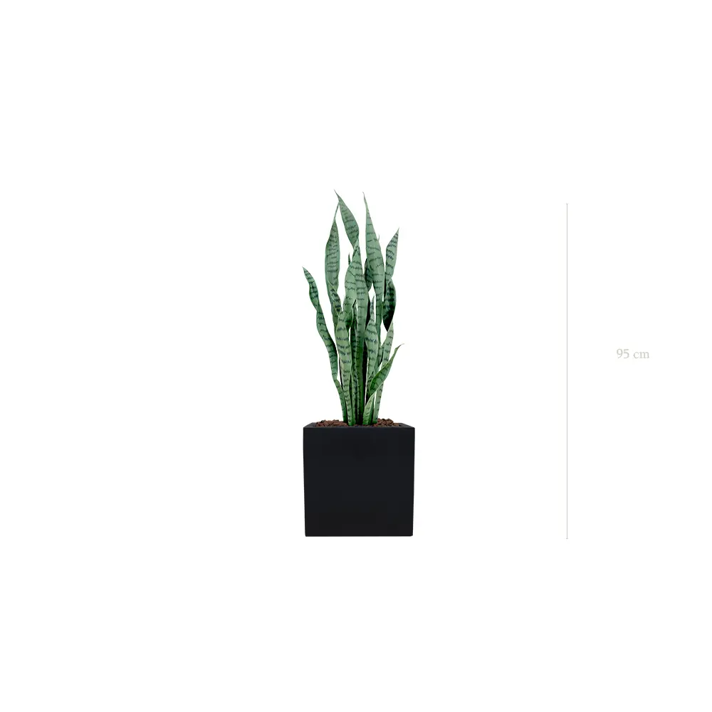 Le Sansevieria - Cube Noir - Artificiel