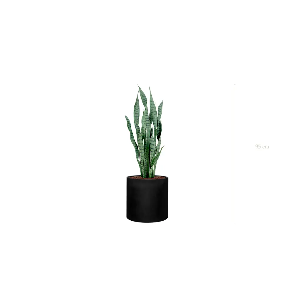 Le Sansevieria - Cylindre Noir - Artificiel