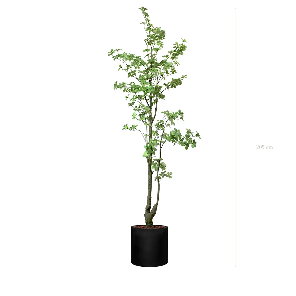 Le Tropaeolum - Cylindre Noir - Artificiel
